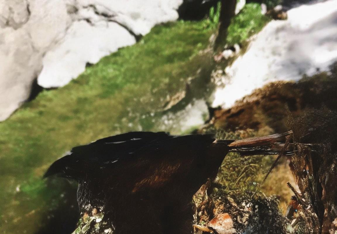 2018土耳其女排VS俄罗斯队巅峰对决战术解析(图2)